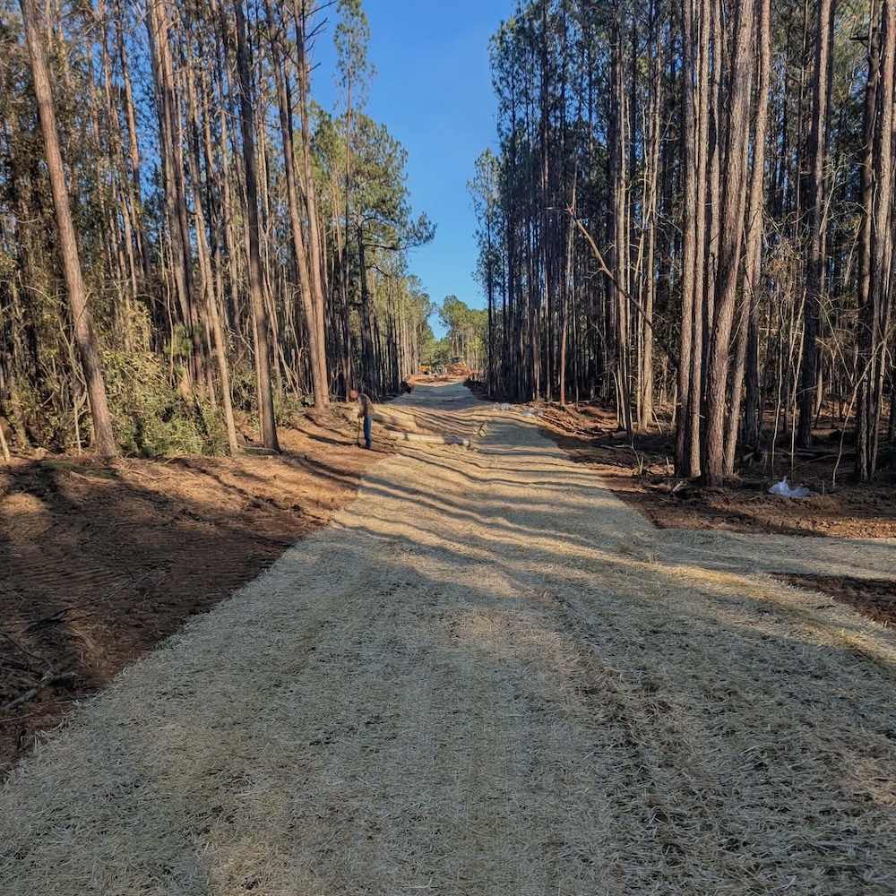 Wheeler's Grading & Septic project photo 3